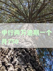 2万逾期一个月利息：具体金额如何计算？