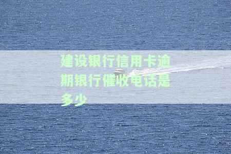 查询建设银行信用卡逾期催收电话号码？请看这里！