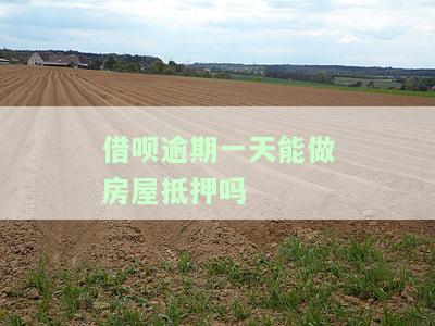 借呗逾期一天能做房屋抵押吗安全吗，借呗逾期一天是否可以进行房屋抵押？安全性如何？