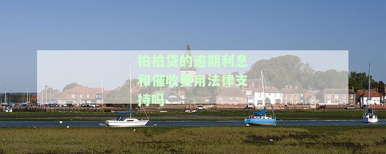 拍拍贷逾期费用太高,不还逾期利息可以吗，探讨拍拍贷逾期费用过高问题：是否可以不偿还逾期利息？