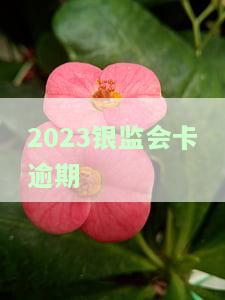 银监会信用卡逾期规定，解读银监会信用卡逾期规定，避免逾期带来的风险