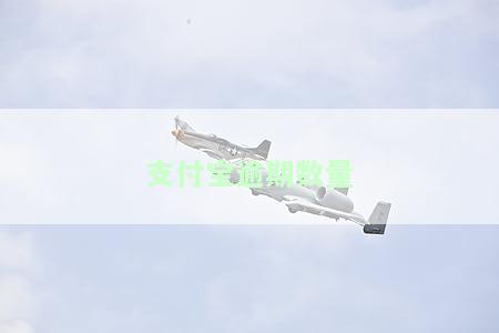 支付宝逾期人数统计：从2020到2023的全面分析