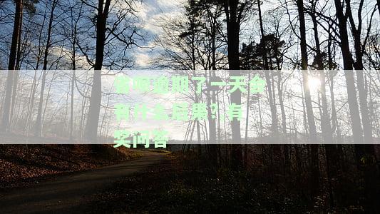 省呗逾期一天上征信后果严重吗？详解影响及解决方法