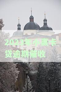 2023年小赢卡贷逾期催收怎么办？解决方案及处理方法