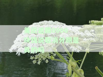 美团逾期8000块钱说取消分期是真的吗