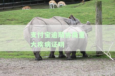 支付宝逾期协商重大疾病证明怎么写，如何写支付宝逾期协商重大疾病证明？