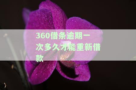 逾期后还款多久可重新借款？