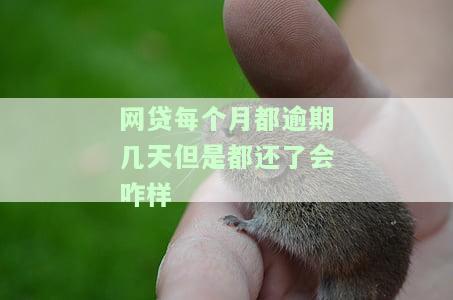 网贷每个月都逾期几天还进去？这样会不会被起诉或坐牢？