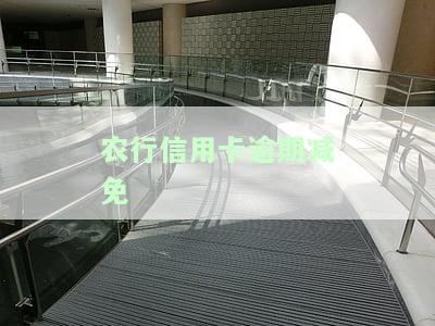 农行信用卡逾期减免政策最新，农行信用卡逾期最新减免政策公布，持卡人可关注！