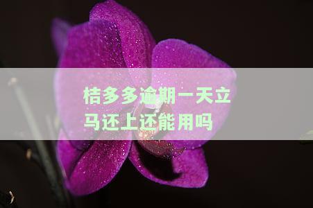 桔多多逾期一天立马还上还能用吗-桔多多逾期一天怎么办