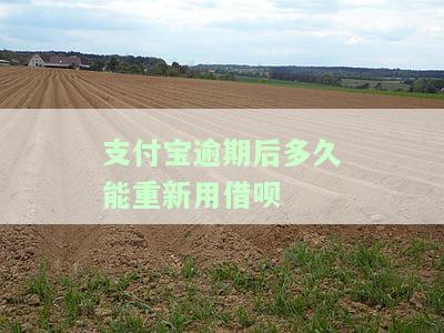 支付宝逾期后还款了多久可以继续用借呗，支付宝借呗逾期还款后，多久能再次使用？