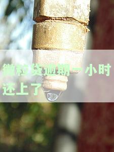 微粒贷逾期一天以后还能不能借，微粒贷逾期一天后，是否能继续借款？