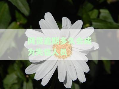 网贷逾期多长时间会列入失信人员名单？