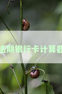 银行逾期金额计算：公式与方法全解析
