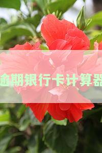 逾期银行卡计算器-银行逾期金额计算