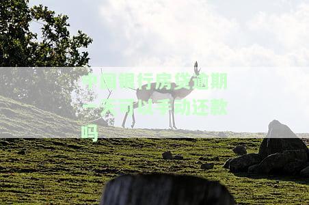 中国银行房贷逾期一天，第二天会自动扣款吗？