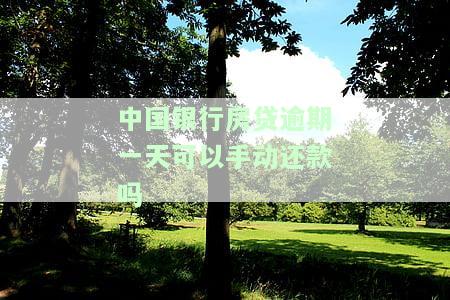 中国银行房贷了一天还款怎么办，中国银行房贷逾期一天，应该采取哪些应对措？