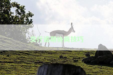 交通银行信用卡逾期如何协商还款？详解本金与流程