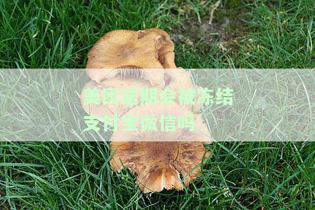 美团逾期说要冻结我微信和银行账户，真的吗？