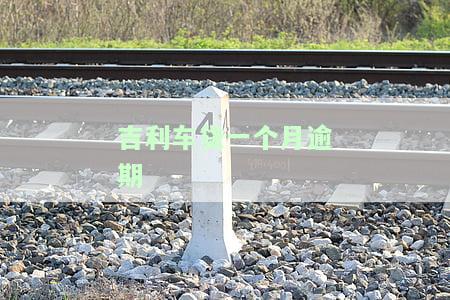 利车贷一个月逾期怎么办，解决利车贷逾期问题：全面指南与建议