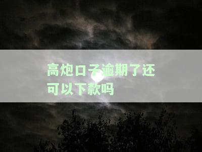 2021高炮逾期还能贷款的口子，紧急求助：2021年高炮逾期，还有哪些可以申请的贷款口子？