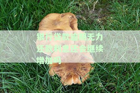 银行贷款没还利息会一直涨吗，未偿还银行贷款，利息是否会持续上涨？