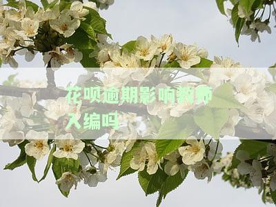 花呗逾期影响教师入编吗知乎，花呗逾期是否会影响教师入编？知乎上有哪些相关讨论？