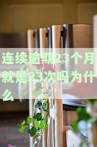 连续逾期23个月就是23次吗？原因解析与应对策略