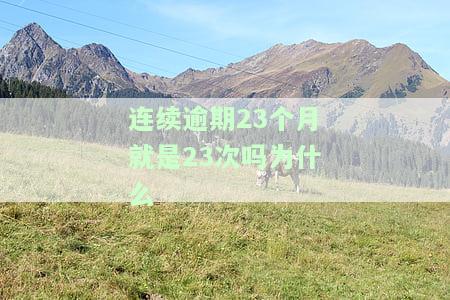 连续逾期23个月即23次，为何仍需还款？