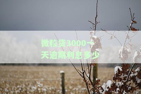 微粒贷3000一天逾期利息多少，如何计算微粒贷3000元的一天逾期利息？