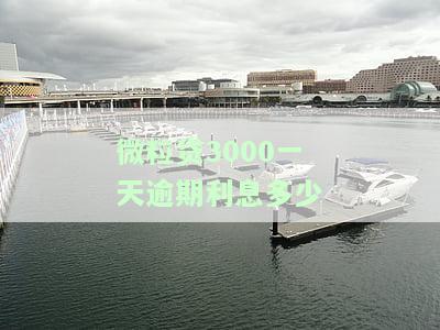 微粒贷3万逾期300多天会怎么办，微粒贷逾期300多天，3万贷款将面临什么后果？