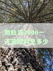 微粒贷3000逾期两年多少钱，微粒贷逾期2年，3000元应还多少？