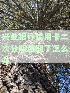 兴业银行信用卡二次分期逾期了如何办理还款或期？