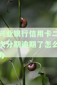 兴业银行信用卡二次分期逾期了怎么办-兴业银行信用卡二次分期逾期了怎么办理