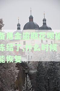 备用金逾期花呗被冻结了，何时能恢复使用？