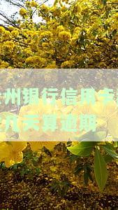 贵州银行的信用卡额度高吗，探秘贵州银行信用卡：额度究竟有多高？