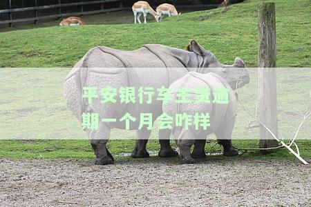 平安车主贷逾期：银行处理方式及最还款期限，能否协商还款？