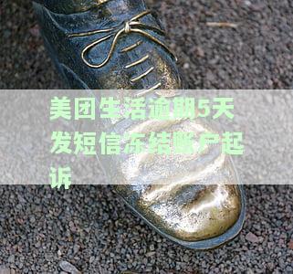 美团生活逾期5天发短信冻结账户，起诉真的有用吗？