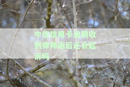 中信信用卡逾期收到律师函后还会起诉吗-中信信用卡逾期收到律师函后还会起诉吗