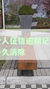 个人逾期征信几年消除？最新政策解析及消除记录方法