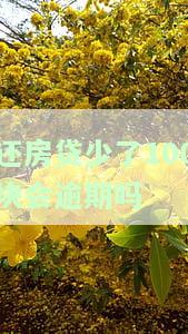 还房贷少了100块会逾期吗？解决方案！