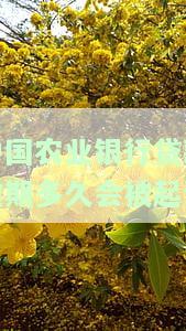农业银行贷款逾期几天还款以后还可以贷出来吗，关于农业银行贷款逾期还款后能否再次贷款的问题