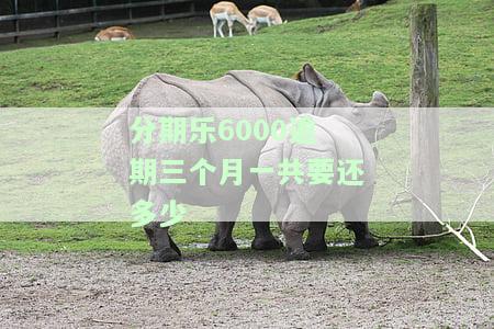 分期乐欠6000多逾期两个月会有什么后果？是否会上诉？