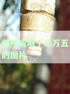 借呗逾期12万会坐牢吗，借呗逾期12万是否会被判刑？你需要了解的法律责任