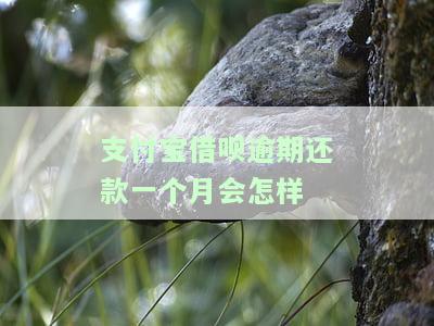 支付宝借呗逾期一个月还清了,多久能恢复，如何快速恢复支付宝借呗？逾期一个月后还款，需要多长时间？