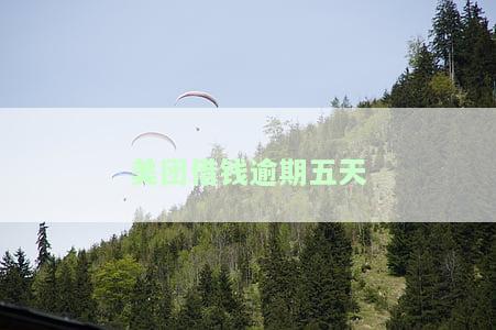 美团借钱逾期五天会不会对征信有影响，美团借钱逾期五天会否影响征信？