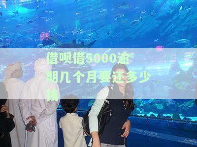 计算借呗逾期5000一个月的利息：你需要知道的一切