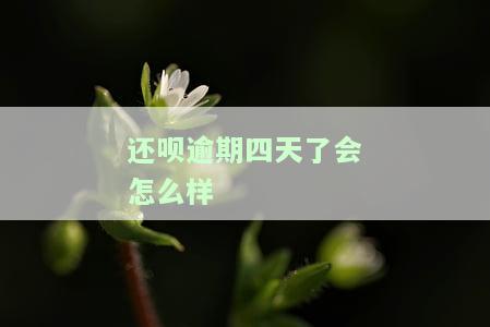 还呗逾期两天还款，会对征信造成影响吗？