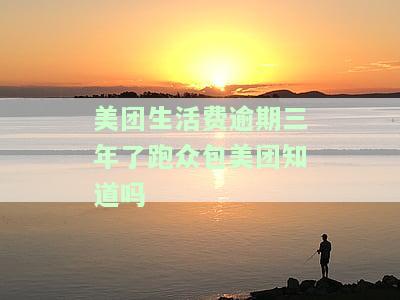 美团生活费逾期三年了跑众包美团知道吗是真的吗，美团生活费逾期三年，跑众包是否会被美团发现？真相揭秘！