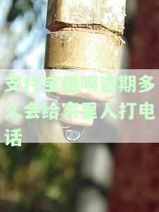 借呗逾期10天给家人打电话了，如何妥善处理无力还款的情况？95188客服称无法协商